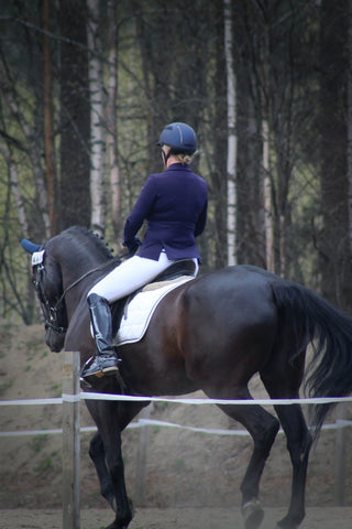 a horse competing with health legs