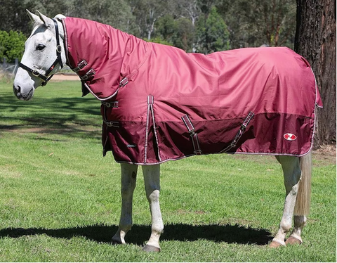 Zilco Explorer Combo Pink