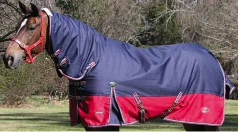 Zilco Crusader Combo Red and Navy