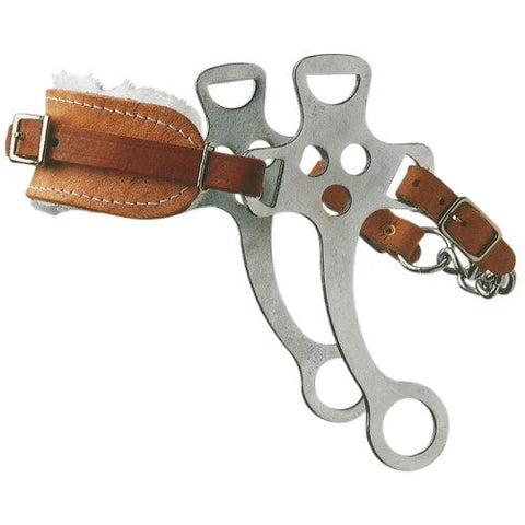 Hackamore bitless bridle