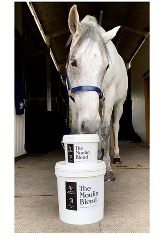 Horse with Moulin blend gut health