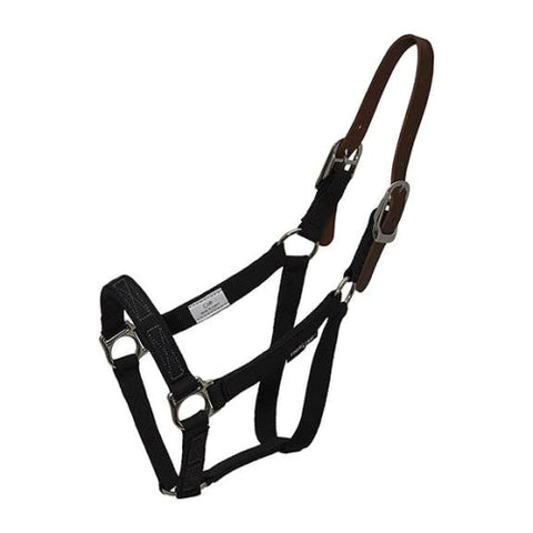 a breakaway horse halter