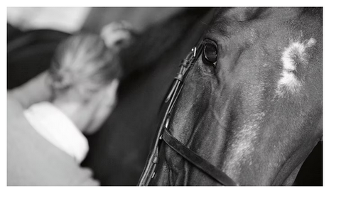 Two heads rider and horse